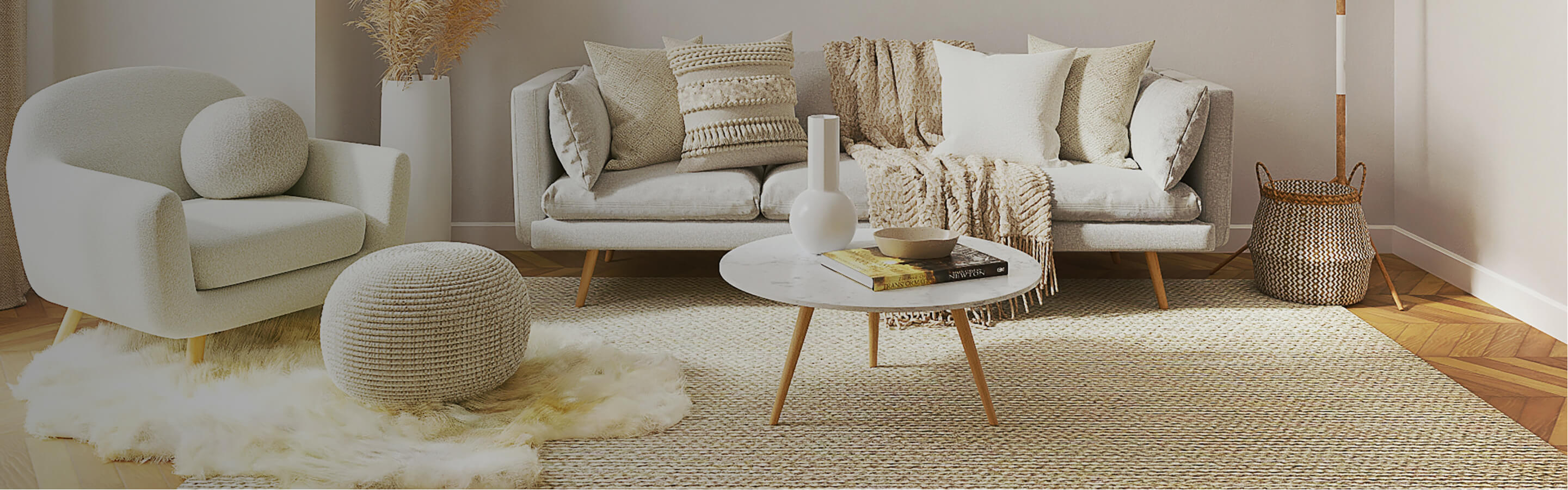 Cream and beige area rug in airy living room. 